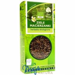 Macierzanka ziele herbatka ekologiczna 25g DARY NATURY
