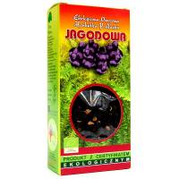 Jagodowa herbatka 50g DARY NATURY