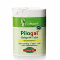 Pilogal tabletki galgantowe 25g HILDEGARD-POSCH