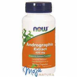 Andrographis Extract 90kaps NOW