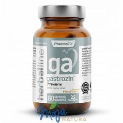 Gastrozin 60 kaps PHARMOVIT